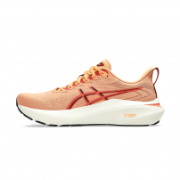 Кросівки для бігу чоловічі Asics GT-2000 13 Faded orange/Desert red