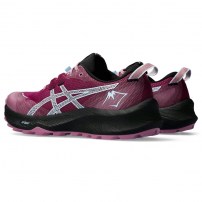 Кросівки для бігу жіночі Asics GEL-TRABUCO 12 Blackberry/Light blue