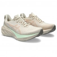 Кросівки для бігу жіночі Asics NOVABLAST 4 Oatmeal/Moonrock