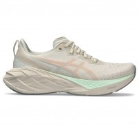 Кросівки для бігу жіночі Asics NOVABLAST 4 Oatmeal/Moonrock